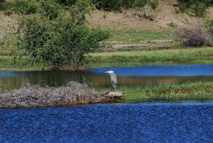 botswana 248.jpg