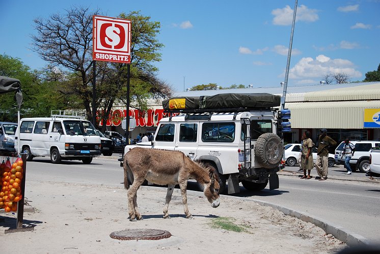 botswana 261.jpg