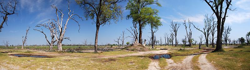 botswana 483 panorma.jpg