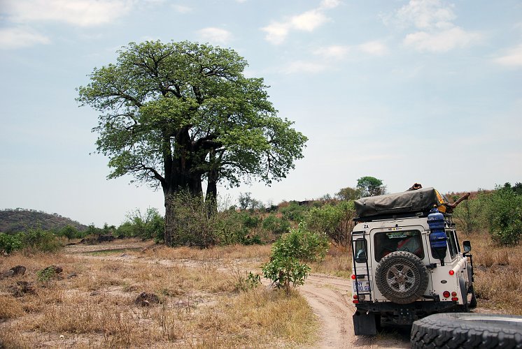 botswana 641.jpg