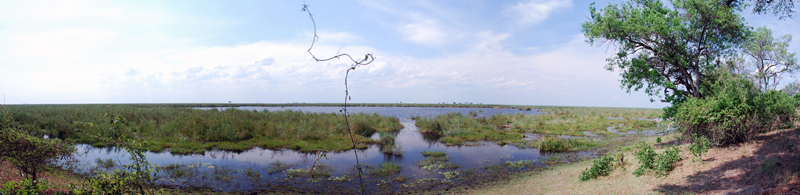 botswana 696_panorama.jpg