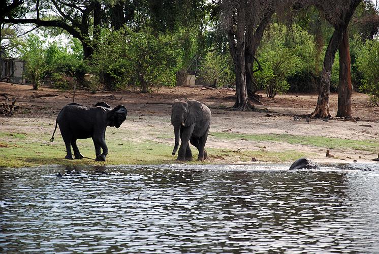 botswana 851.jpg