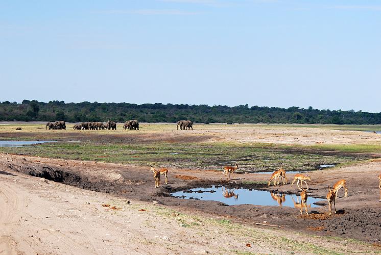 botswana 1009.jpg