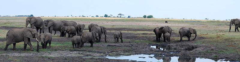 botswana 1029_panorama.jpg