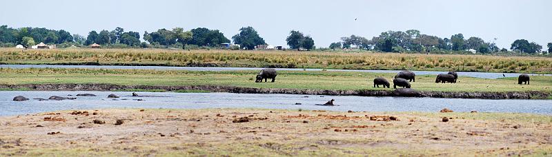 botswana 1485_panorama.jpg