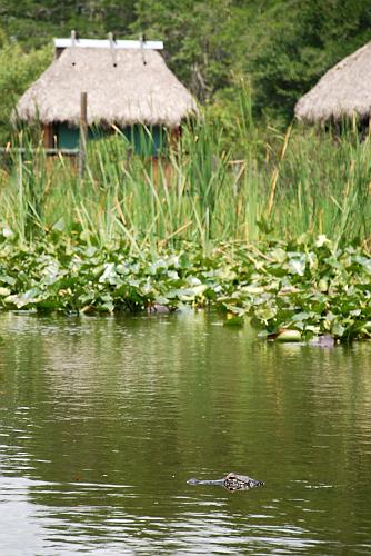 Florida - Billie Swamp Safari on the Big Cypress Seminole Indian Reservation