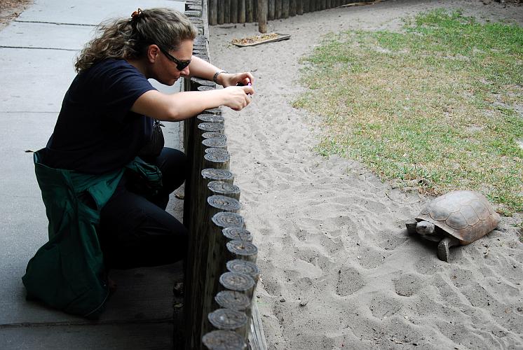 Florida - Billie Swamp Safari on the Big Cypress Seminole Indian Reservation