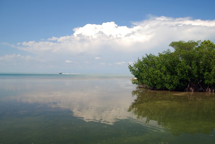 Florida - Isole Key