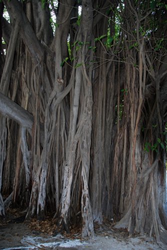 Florida, Key West