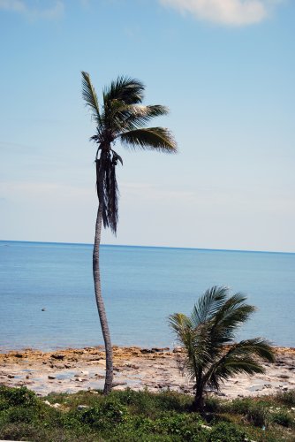 Florida - Isole Key