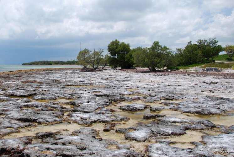 Florida - Isole Key