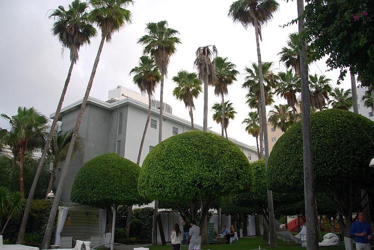 Miami Beach, Hotel Delano, il giardino