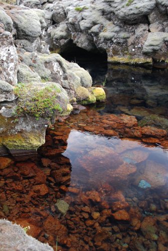 Islanda_pingvellir_0765.JPG