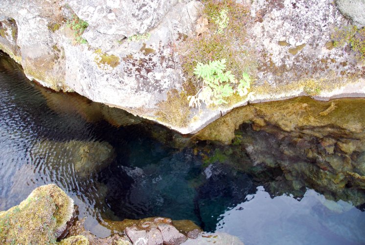 Islanda_pingvellir_0773.JPG