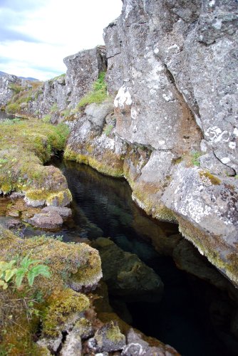 Islanda_pingvellir_0774.JPG